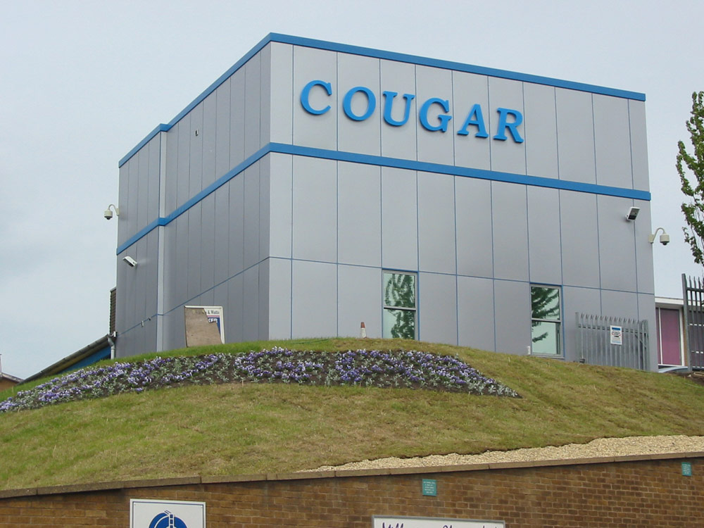 Cougar Monitoring Outside Building